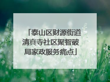 泰山区财源街道清真寺社区聚智破局家政服务痛点