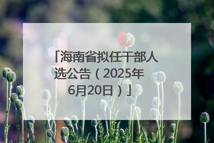 海南省拟任干部人选公告（2025年6月20日）