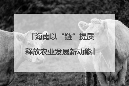 海南以“链”提质 释放农业发展新动能