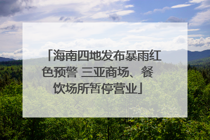 海南四地发布暴雨红色预警 三亚商场、餐饮场所暂停营业