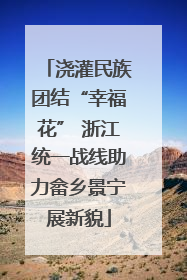 浇灌民族团结“幸福花” 浙江统一战线助力畲乡景宁展新貌
