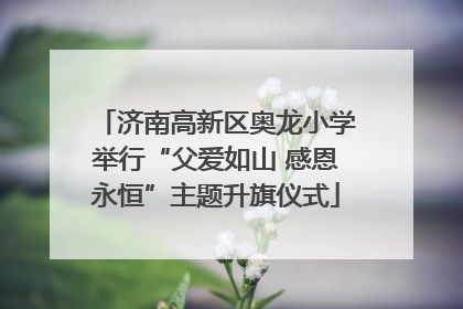 济南高新区奥龙小学举行“父爱如山 感恩永恒”主题升旗仪式