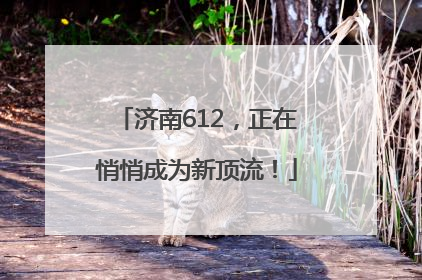 济南612，正在悄悄成为新顶流！