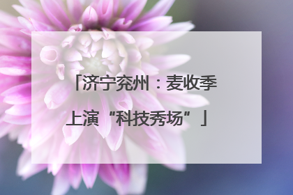 济宁兖州：麦收季上演“科技秀场”