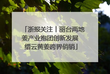 浙报关注丨丽台两地姜产业抱团创新发展 缙云黄姜跨界俏销