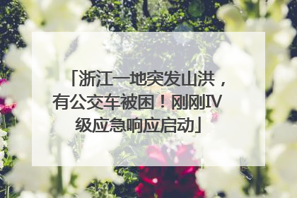 浙江一地突发山洪，有公交车被困！刚刚Ⅳ级应急响应启动
