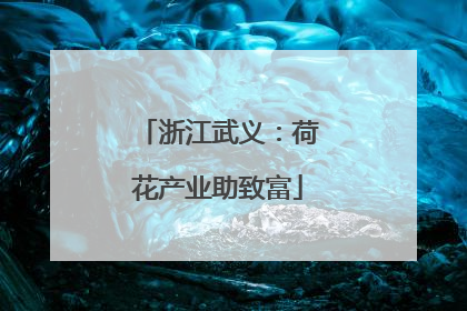 浙江武义：荷花产业助致富
