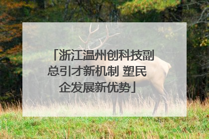 浙江温州创科技副总引才新机制 塑民企发展新优势