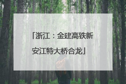 浙江：金建高铁新安江特大桥合龙
