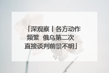 深观察丨各方动作频繁  俄乌第二次直接谈判前景不明