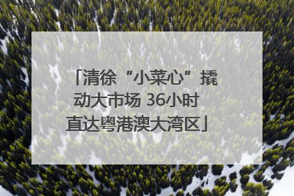 清徐“小菜心”撬动大市场 36小时直达粤港澳大湾区