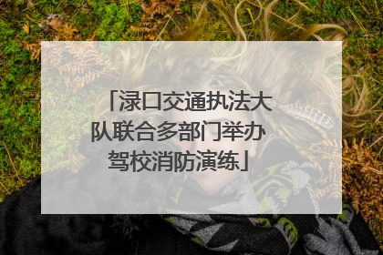 渌口交通执法大队联合多部门举办驾校消防演练