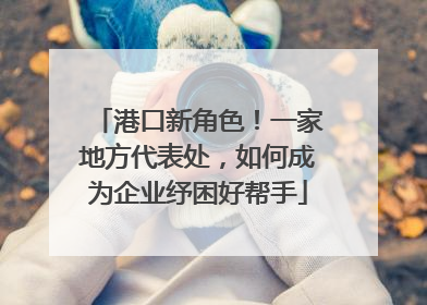 港口新角色！一家地方代表处，如何成为企业纾困好帮手
