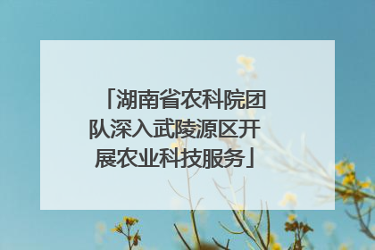 湖南省农科院团队深入武陵源区开展农业科技服务