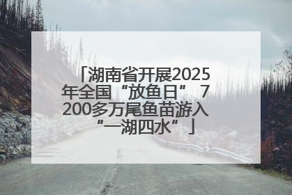 湖南省开展2025年全国“放鱼日” 7200多万尾鱼苗游入“一湖四水”