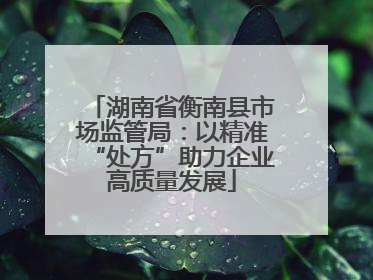 湖南省衡南县市场监管局：以精准“处方”助力企业高质量发展