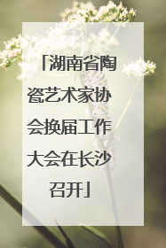 湖南省陶瓷艺术家协会换届工作大会在长沙召开