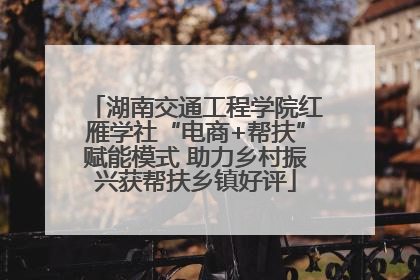 湖南交通工程学院红雁学社“电商+帮扶”赋能模式 助力乡村振兴获帮扶乡镇好评