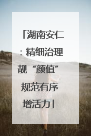 湖南安仁：精细治理靓“颜值” 规范有序增活力