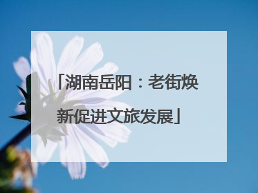 湖南岳阳：老街焕新促进文旅发展