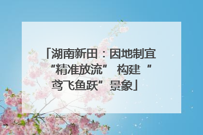 湖南新田：因地制宜“精准放流” 构建“鸢飞鱼跃”景象