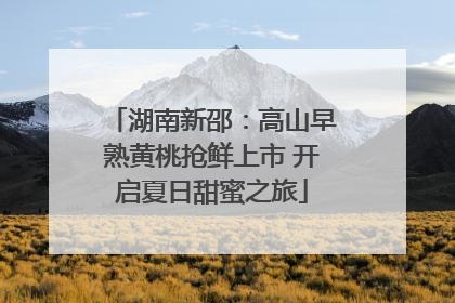 湖南新邵：高山早熟黄桃抢鲜上市 开启夏日甜蜜之旅