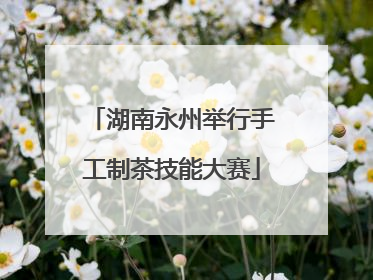 湖南永州举行手工制茶技能大赛