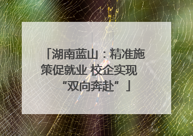 湖南蓝山：精准施策促就业 校企实现“双向奔赴”