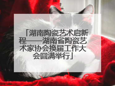 湖南陶瓷艺术启新程——湖南省陶瓷艺术家协会换届工作大会圆满举行