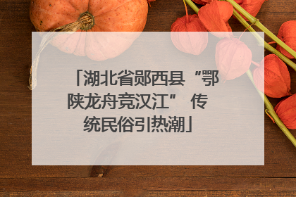 湖北省郧西县“鄂陕龙舟竞汉江” 传统民俗引热潮