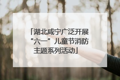 湖北咸宁广泛开展“六一”儿童节消防主题系列活动