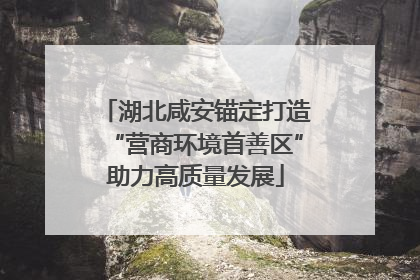 湖北咸安锚定打造“营商环境首善区”助力高质量发展