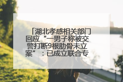 湖北孝感相关部门回应“一男子称被交警打断9根肋骨未立案”：已成立联合专班开展工作