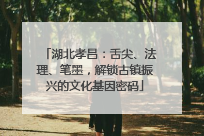 湖北孝昌：舌尖、法理、笔墨，解锁古镇振兴的文化基因密码
