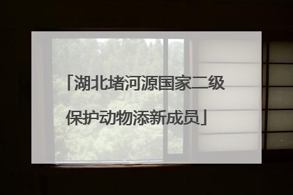 湖北堵河源国家二级保护动物添新成员