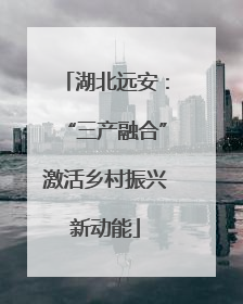 湖北远安：“三产融合”激活乡村振兴新动能