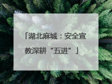 湖北麻城：安全宣教深耕“五进”