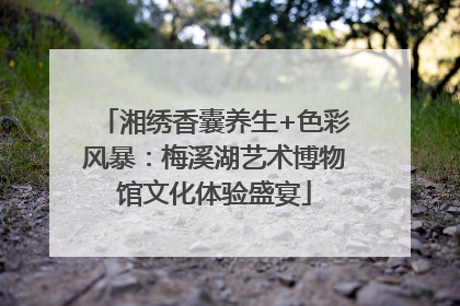 湘绣香囊养生+色彩风暴：梅溪湖艺术博物馆文化体验盛宴
