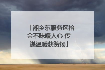 湘乡东服务区拾金不昧暖人心 传递温暖获赞扬