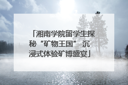 湘南学院留学生探秘“矿物王国” 沉浸式体验矿博盛宴