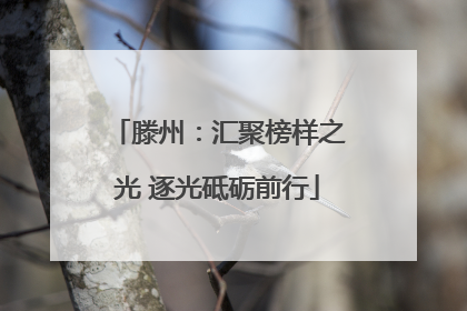 滕州：汇聚榜样之光 逐光砥砺前行