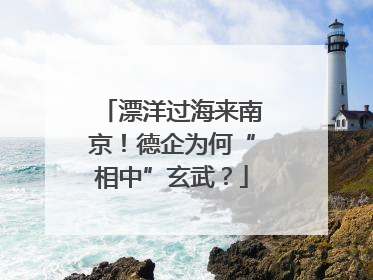 漂洋过海来南京！德企为何“相中”玄武？