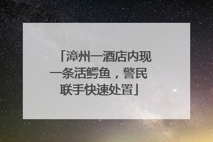 漳州一酒店内现一条活鳄鱼，警民联手快速处置