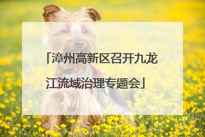 漳州高新区召开九龙江流域治理专题会