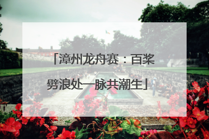 漳州龙舟赛：百桨劈浪处一脉共潮生