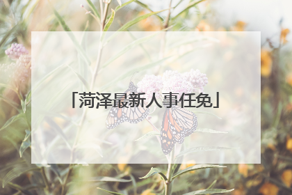菏泽最新人事任免