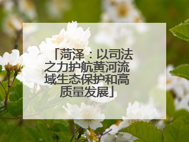 菏泽：以司法之力护航黄河流域生态保护和高质量发展
