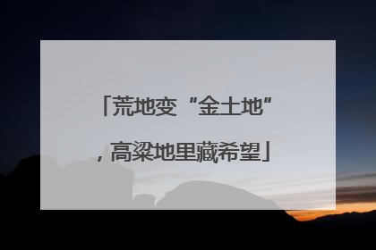 荒地变“金土地”，高粱地里藏希望