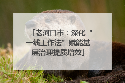 老河口市：深化“一线工作法”赋能基层治理提质增效