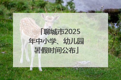 聊城市2025年中小学、幼儿园暑假时间公布
